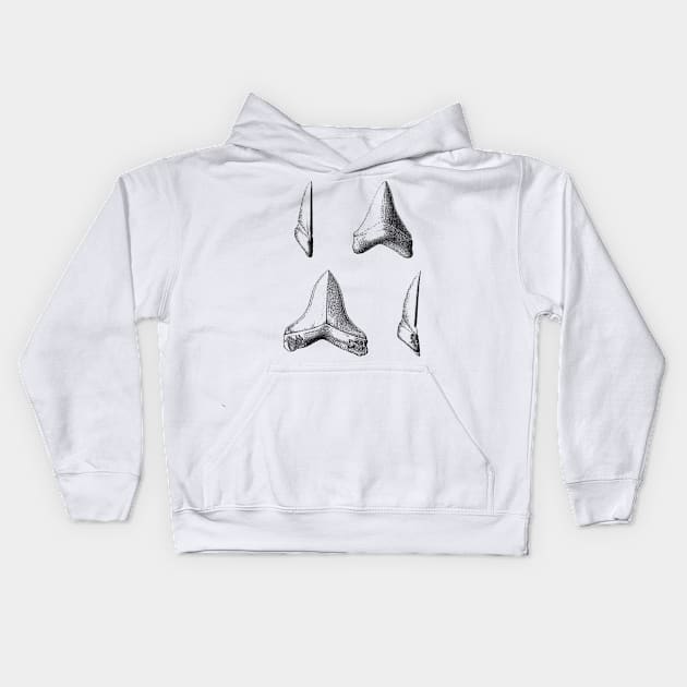 Shark Teeth | Great White Megalodon Fossils Kids Hoodie by encycloart